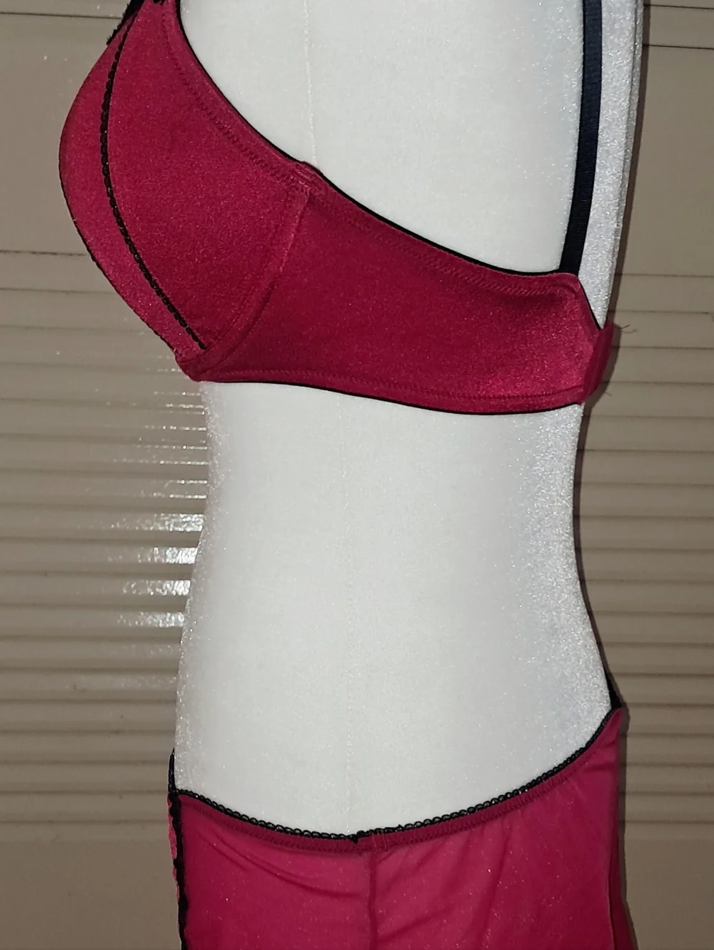 Apt. 9 Wine and Black 36 D and Large Lace Bra & Mini Skirt Set - Picture 7 of 16